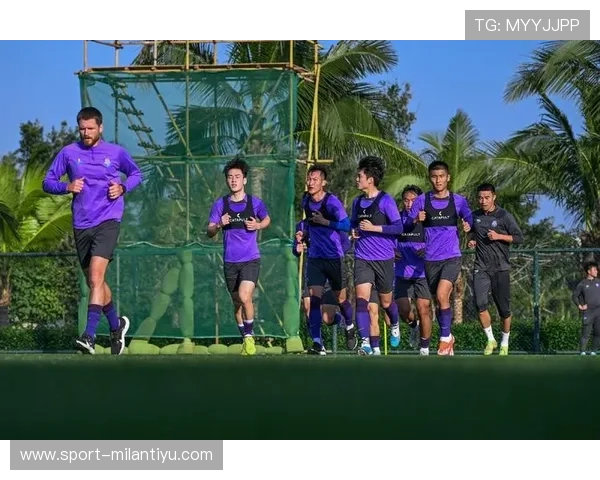 乐鱼app在体育赞助中的创新策略与与AC米兰合作的成功经验